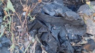 Задержано одно лицо по факту убийства в Мердзаване